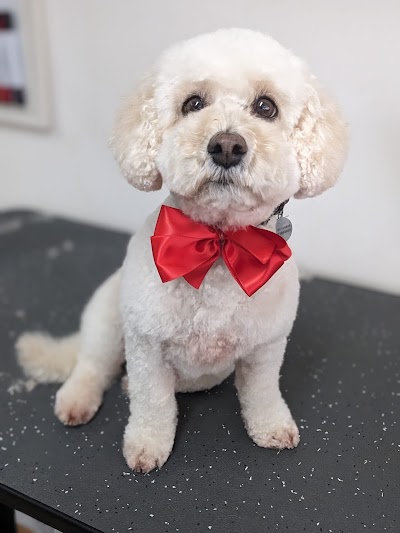 Photo associated with Lovely Pups