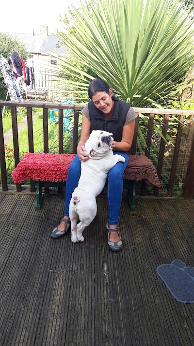 Photo associated with Hounds of Love Dog Grooming Salon
