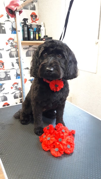 Photo associated with Hounds of Love Dog Grooming Salon