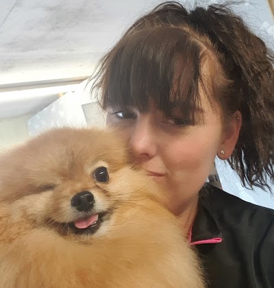 Photo associated with L A Dog Groomers