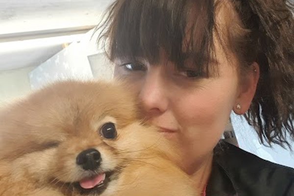 Photo associated with L A Dog Groomers