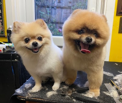 Photo associated with Jessica's Dog Grooming London