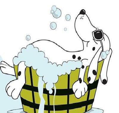 Photo associated with Paws & Relax Dog Grooming