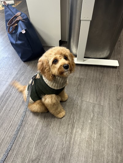 Photo associated with Grand Union Pets Grooming