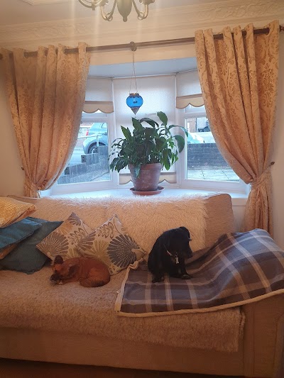Photo associated with Claws & Paws