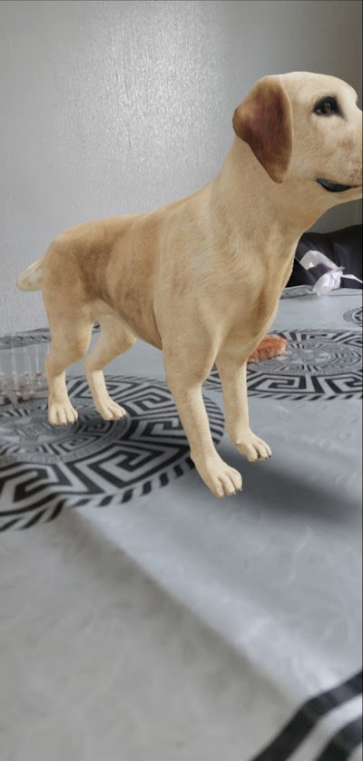 Photo associated with DOG!