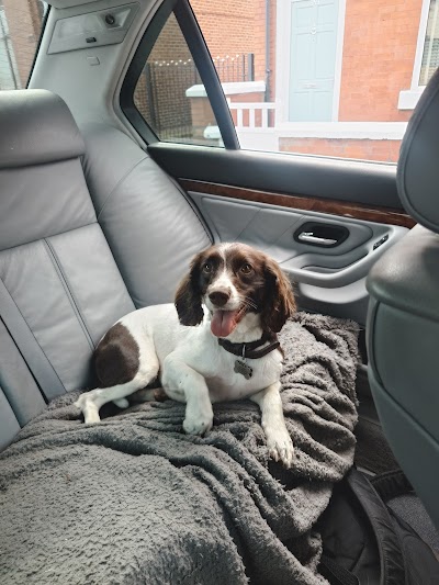 Photo associated with Pets Boutique Dog Grooming