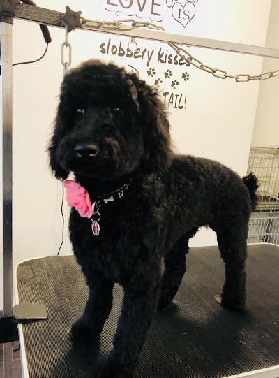 Photo associated with Fur Babies Dog Grooming