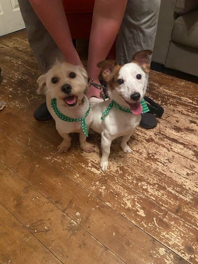 Photo associated with Posh Pooches Dog Groomers