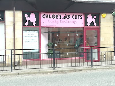 Photo associated with Chloe's K9 Cuts