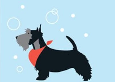 Photo associated with Malvern Dog Grooming