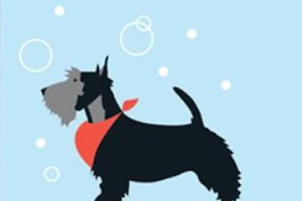 Photo associated with Malvern Dog Grooming
