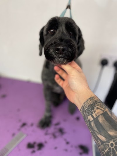 Photo associated with LedByLead Dog Grooming Horsforth