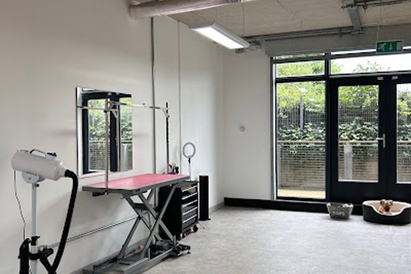 Photo associated with The Mutts Club, Manchester City Centre Dog Grooming