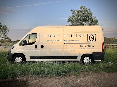 Photo associated with Doggy Deluxe - Mobile Dog Groomer