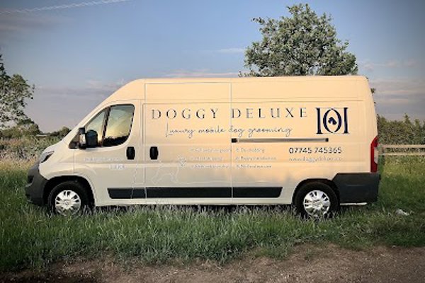 Photo associated with Doggy Deluxe - Mobile Dog Groomer