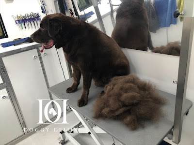 Photo associated with Doggy Deluxe - Mobile Dog Groomer