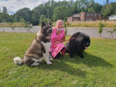 Photo associated with Stinky Paws Pet Parlour