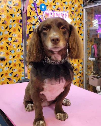 Photo associated with Furstyles Pet Grooming & Pet Services by Suzanne