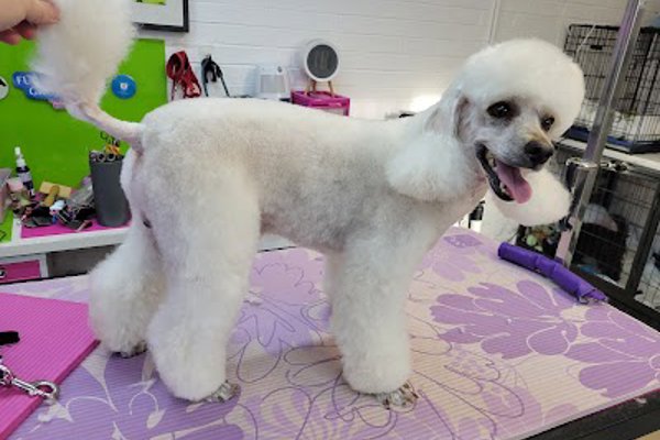 Photo associated with Furstyles Pet Grooming & Pet Services by Suzanne