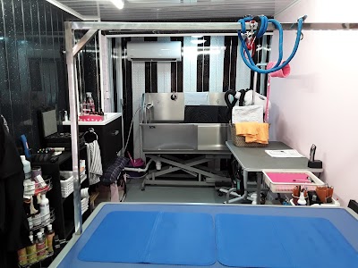 Photo associated with Pongo's Paws Dog Grooming Salon
