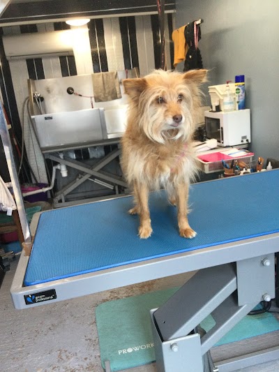 Photo associated with Pongo's Paws Dog Grooming Salon