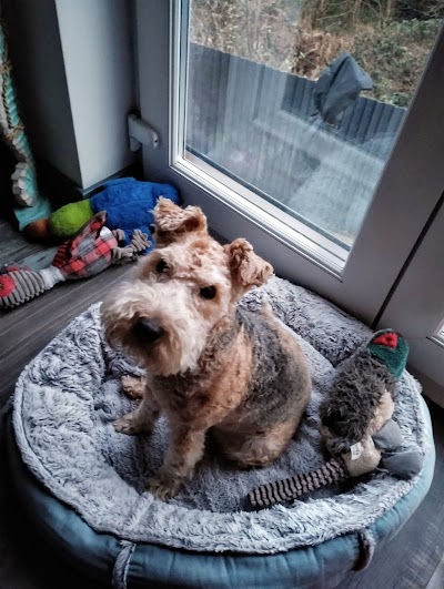Photo associated with The Dog House Groomers