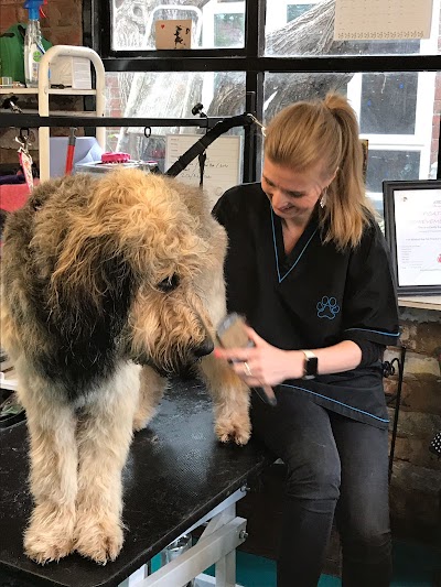 Photo associated with Harper and Hound Dog Groomer