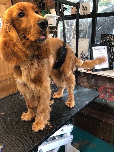 Photo associated with Harper and Hound Dog Groomer