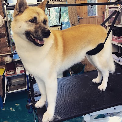 Photo associated with Harper and Hound Dog Groomer