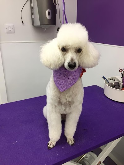 Photo associated with Barkleys Grooming