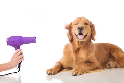Photo associated with Barkleys Grooming