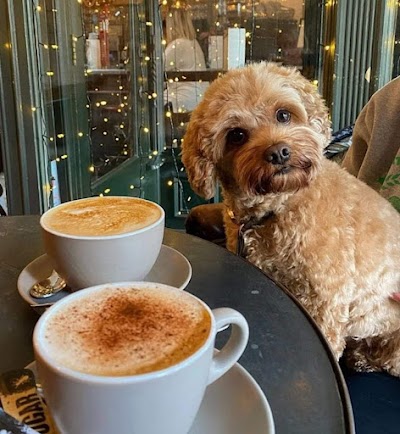 Photo associated with Luv a Dug