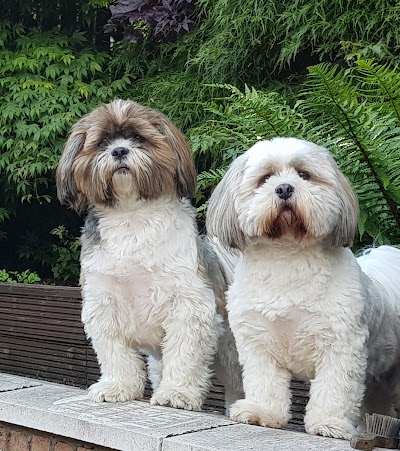 Photo associated with Luv a Dug