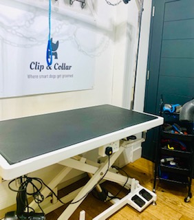 Photo associated with Clip & Collar Dog Groomers