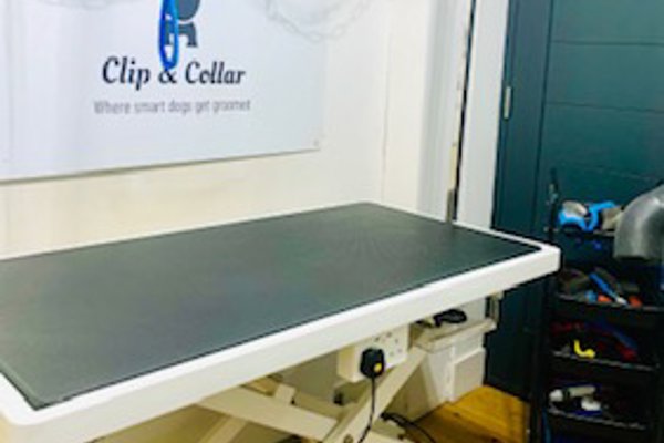 Photo associated with Clip & Collar Dog Groomers