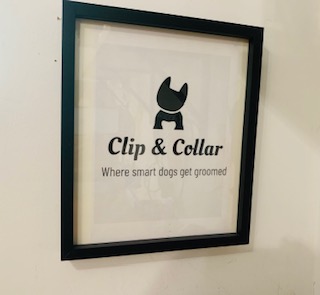 Photo associated with Clip & Collar Dog Groomers