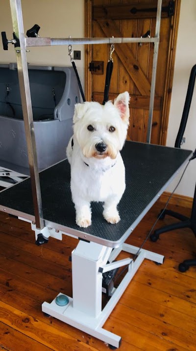 Photo associated with Banda Dog Grooming