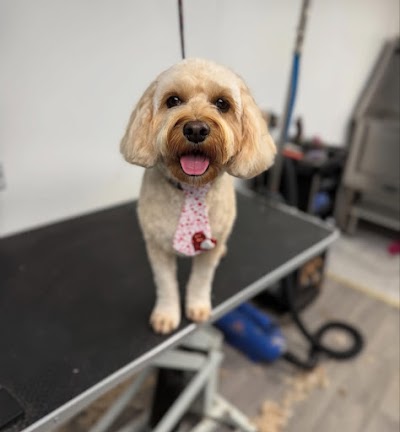 Photo associated with Coopers Cuts Dog Grooming