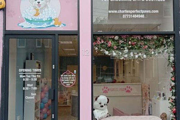 Photo associated with charlies perfect paws pet grooming spa and boutique
