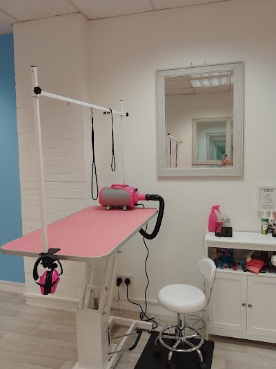 Photo associated with charlies perfect paws pet grooming spa and boutique
