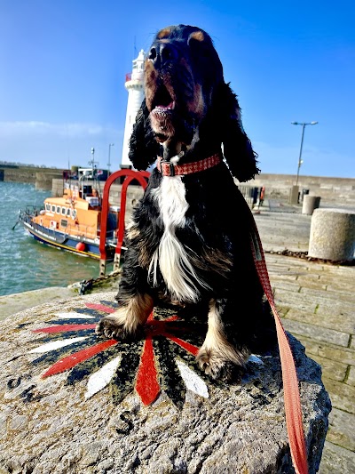 Photo associated with Dashin' Hounds