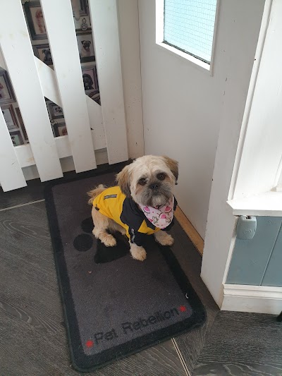 Photo associated with Boswall Dog Grooming