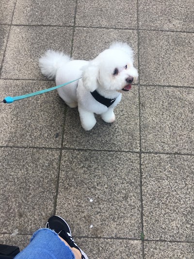 Photo associated with Kelly's Dog Grooming - Fairfield