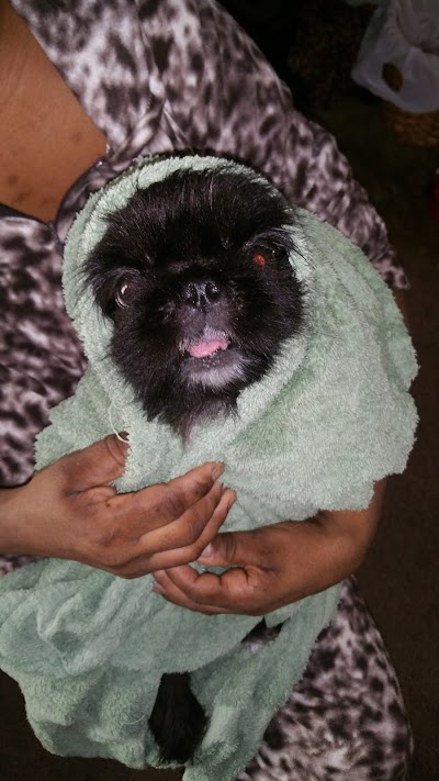 Photo associated with Stinky Dog Grooming