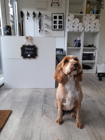 Photo associated with 9Tails Dog Grooming LTD