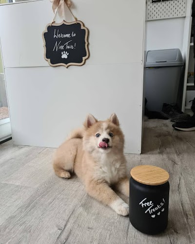 Photo associated with 9Tails Dog Grooming LTD