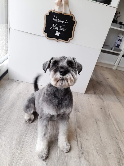 Photo associated with 9Tails Dog Grooming LTD