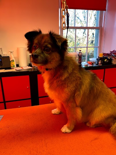 Photo associated with Joannes Dog & Cat Grooming Salon