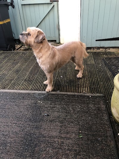 Photo associated with Happy Hounds Dog Grooming